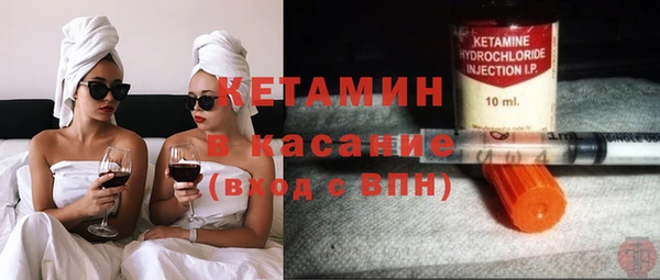 прущие грибы Новозыбков