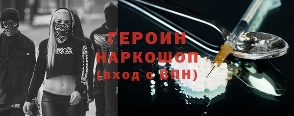 прущие грибы Новозыбков