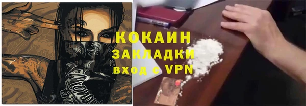 ешки Новодвинск