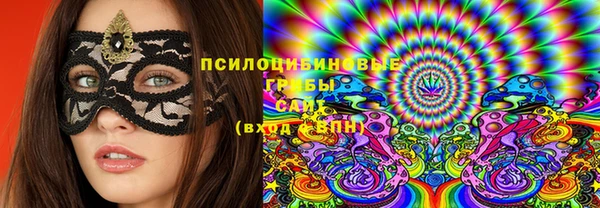 ешки Новодвинск