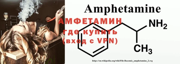 прущие грибы Новозыбков