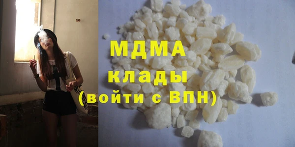 прущие грибы Новозыбков