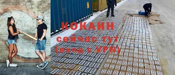 прущие грибы Новозыбков