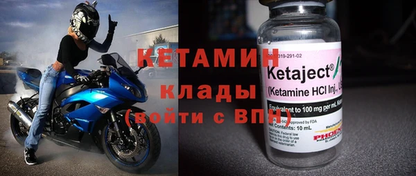 прущие грибы Новозыбков